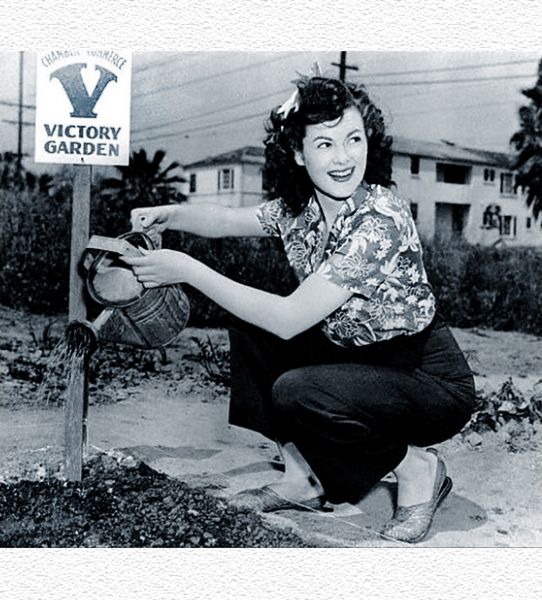 Victory Gardens & Significant Days: Focusing on Fruitfulness, By: Lacey Haegen